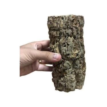 Imagem de Tronco Oco para Orquideas e Terrarios