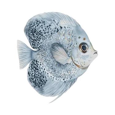 Imagem de Pôster De Arte Em Aquarela De Peixe Discus Azul, Impressão Em Tela De 