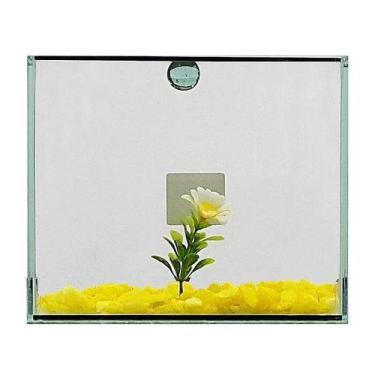 Imagem de Aquário Beteira Design Tubular Decorada - Design Aquarios