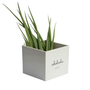 Imagem de Vaso Quadrado Minha Horta - Cebolinha