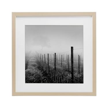 Imagem de Stupell Industries Impressão emoldurada preta Vineyard At Dawn sob vidro, design por Chip Forelli, 13 x 13