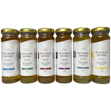Imagem de Mel de Altitude - 6 Variedades De Mel De Abelha Sem Ferrão Kit 6x140g