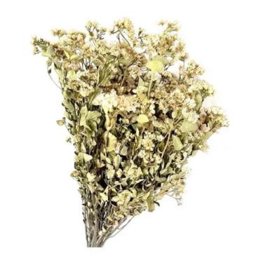 Imagem de Buque Alecrim Do Campo Maço Folhagem Seca Desidratada Arranjo - FLORA 