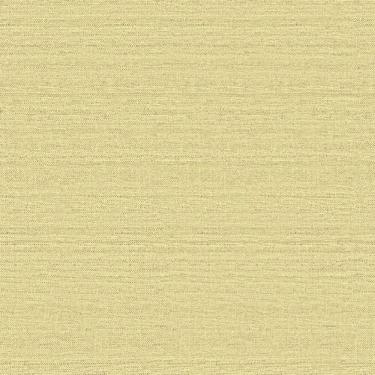 Imagem de Papel de parede importado, limpável coleção texture II 2009