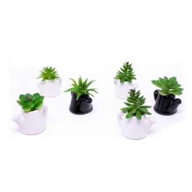 Imagem de Kit 06 Suculentas Artificiais Com Vaso De Cerâmica 9,5x8x6 Cm - D'rossi