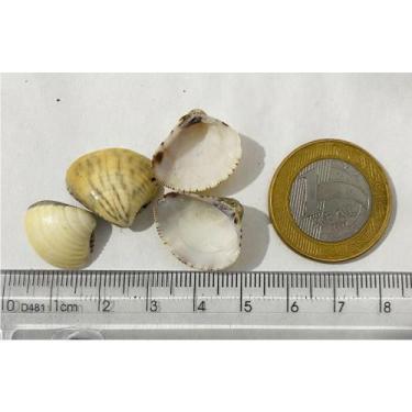 Imagem de Substrato Aragonita Concha N4 1Kg Aqua Pedras