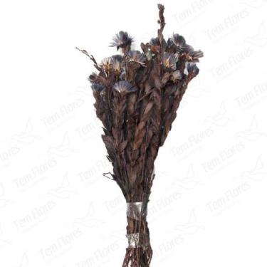 Imagem de Arapurama Roxo Desidratado Buque Flores Secas - Tem Flores