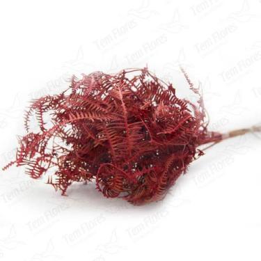 Imagem de Samambaia Barranco Pink Desidratado - Pense Flores, Vermelho
