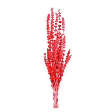 Imagem de Rubi Vermelho Desidratado - Pense Flores