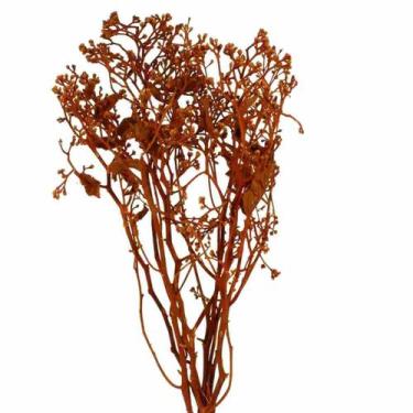 Imagem de Dedo De Anjo Laranja Flor Desidratada Buque Flores Secas - Pense Flore