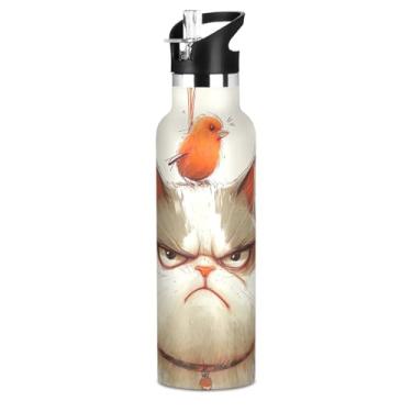 Imagem de Garrafas de água de aço inoxidável de 590 ml com tampa e alça de palha, garrafa de água para meninas sem BPA para escola, copos infantis isolados à prova de vazamento, desenho de gato rabugento fofo