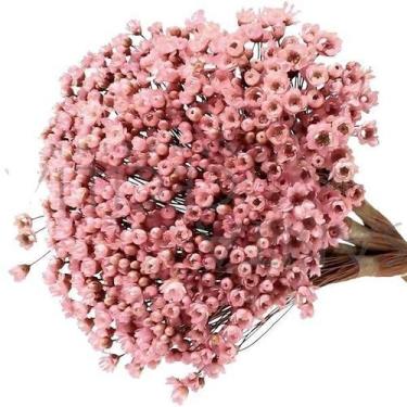 Imagem de 600 Sempre Viva Florzinha Cor de Rosa I Flores Desidratadas - Tem Flor
