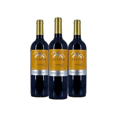 Imagem de Kit 3 Antuco Reserva Especial Carménère