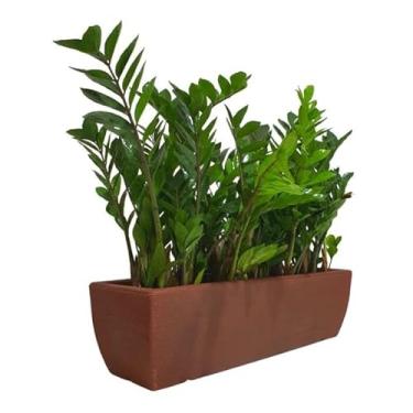 Imagem de Vaso De Planta Jardineira Bonsai Suculenta Polietileno M (marrom)