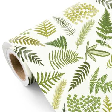 Imagem de WRAPAHOLIC Rolo de papel de embrulho Samambaia - Mini rolo - 43 cm x 80 metros - Papel de embrulho botânico de samambaia florestal perfeito para aniversário, casamento, chá de bebê