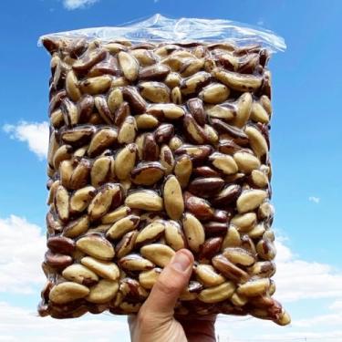 Imagem de Castanha do Pará selecionadas inteiras - Santa Maria (1kg)