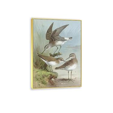 Imagem de JZSDGB Impressão em tela Reproduções de arte de parede de pinturas famosas sandpipers por Archibald Thorburn Giclee impressões em tela - arte de parede em tela de pássaro imagem animal para decoração