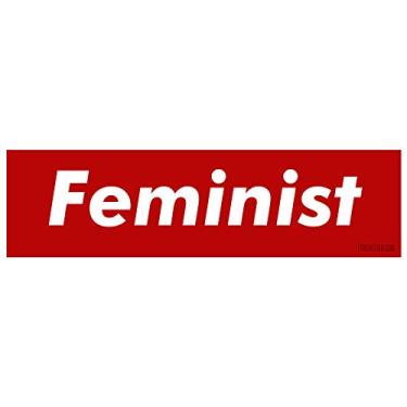 Imagem de EvolveFISH Adesivo de para-choque feminista - [28 cm x 7,6 cm]