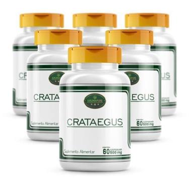 Imagem de Kit 6 Potes Crataegus 100% Pura Cápsulas 500Mg -