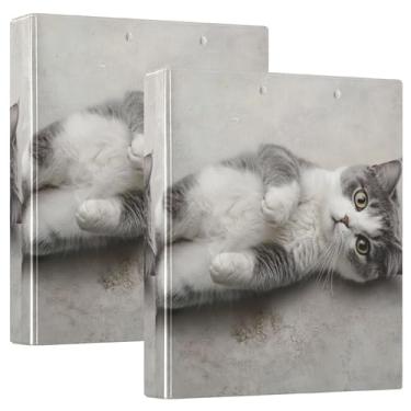 Imagem de Fichários personalizados de gato fofo com estampa relaxante, 3 polegadas, 3 anéis, 200 folhas, anel redondo, fichário, 31,5 x 27 x 6 cm, pacote com 2