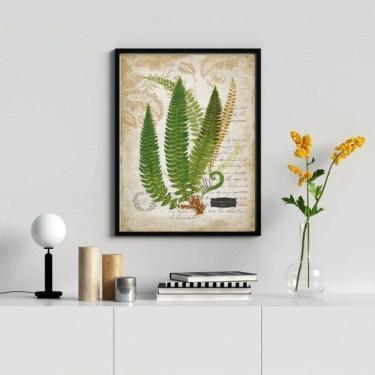 Imagem de Quadro Decorativo Vintage Botânica 33x24cm - Vidro e Moldura Madeira Preta