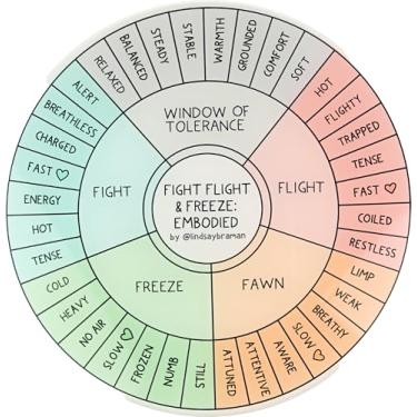 Imagem de Disco de acrílico para roda incorporada Fight Flight Freeze – Ferramenta de terapia informada por trauma de 17,78 cm para educação do sistema nervoso, SEL, tabela de habilidades de enfrentamento