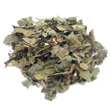 Imagem de Guaçatonga 100g Londriervas - LONDRIERVAS PRODUTOS NATURAIS