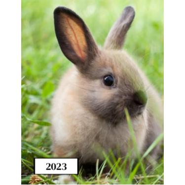 Imagem de 2023: Agenda semainier au format A4 - Année civile (Janvier à Décembre 2023) - Intervalles d'1h (7h-22h) - Contacts, jours fériés, mots de passe, ... - Une semaine sur deux pages