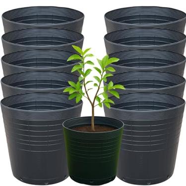Imagem de Kit 10 Vaso Embalagem 25 Litros Flexível para Árvores Frutíferas, Ornamentais, Mudas e Outras | Leve e Resistente, Plástico Reciclável Ecológico - Nutriplan