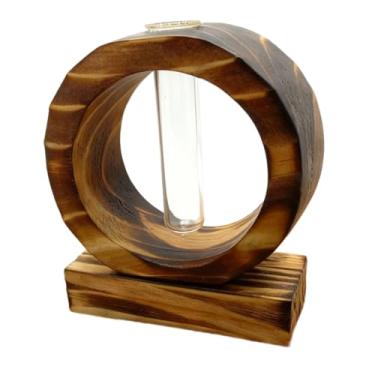 Imagem de Generic Vaso de flores em formato de tubo de ensaio, vaso para plantas, hidropônico, arranjo floral para mesa de sala de estar