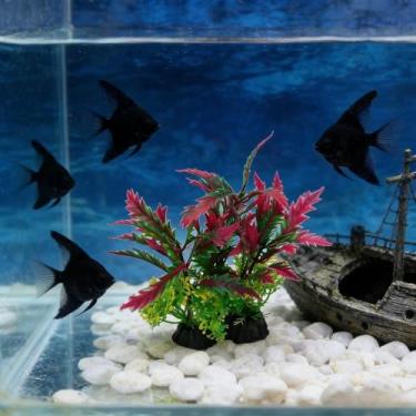 Imagem de 1 peça de aquário de plantas aquáticas artificiais decorativas de algas marinhas artificiais para aquários de algas marinhas, decoração de grama de água falsa, estilo B 11 x 17 cm