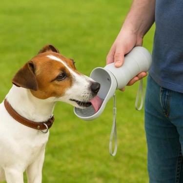Imagem de Bebedouro Tigela Silicone Pets Caminhadas Dobrável Refresca Sede Passe