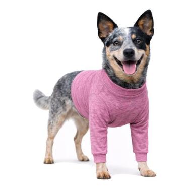 Imagem de Roupa Protetora Para Peito e Pernas Dianteiras Membros Anteriores de C