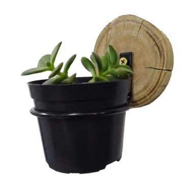 Imagem de Suporte De Vaso P/ Suculentas 9cm + Bolacha De Madeira 3un