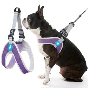 Imagem de Gooby Arnês Simple Step in III – Roxo, PP – Peitoral para cães pequenos com colete externo resistente a arranhões – Arnês de malha interna macia para cães pequenos e