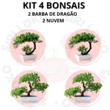 Imagem de Genérico, Kit 4 Bonsai Artificial Modelos Nuvem e Barba de Dragão –Elegância Charme na Decoração