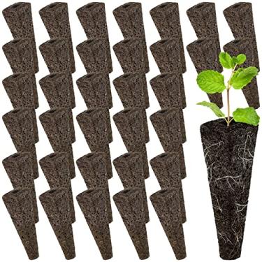 Imagem de HOTBEST 50 esponjas de cultivo, compatíveis com AeroGarden, cápsulas de esponja para iniciantes de sementes, refil de esponjas de crescimento de raiz reutilizáveis para sistema hidropônico de jardim