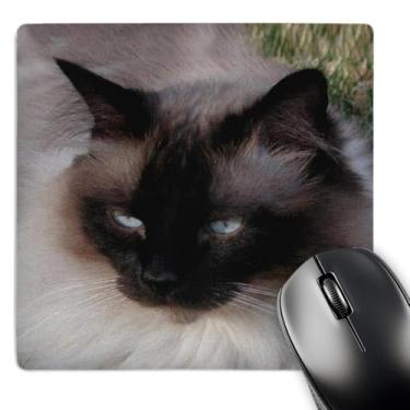 Imagem de 3dRose Mouse pad LLC 20 x 20 x 0,65 cm, gato siamês (mp_1220_1)