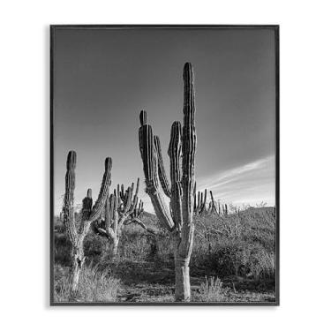 Imagem de Stupell Industries Cactus Field & Vast Sky Black Framed Giclee Art Design por Norm Stelfox, 20 x 16