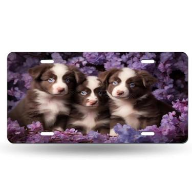 Imagem de Capa para placa de carro multicolorida Three King Dog Flowers - Etiqueta artística de alumínio, à prova de ferrugem, design exclusivo - 15 x 30 cm