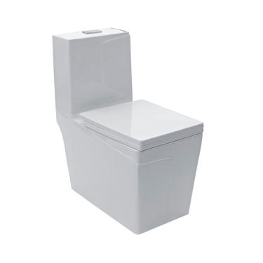 Imagem de Vaso Sanitário Monobloco - Caixa Acoplada - Topázio Pingoo.ca