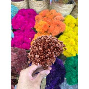 Imagem de Sempre Viva Flor Natural Desidratada Marrom - Santa Cecília