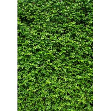 Imagem de Painel Retangular Muro Inglês Tecido Sublimado 1,50 x 2,20m - Fadrix