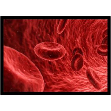 Imagem de Quadro Decorativo Medicina Glóbulos Vermelhos 3D Consultórios Fisiolog