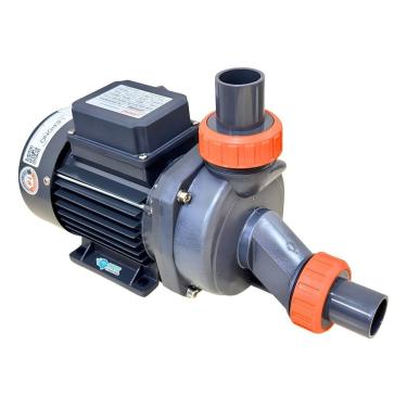 Imagem de Motor Banheira Hidromassagem 1 Cv D`água Lepono