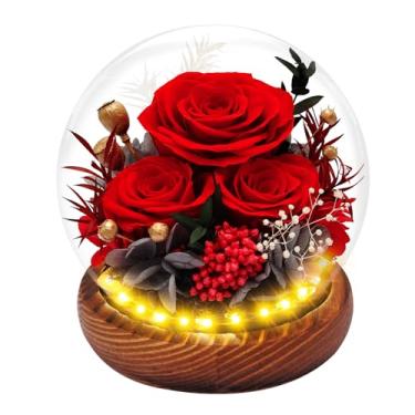 Imagem de Hombees Preserved Rose Forever Flores em cúpula de vidro, presentes para mulheres, flores reais de longa duração, presentes de aniversário rosa eterna vermelha para mãe, dia dos namorados, aniversário