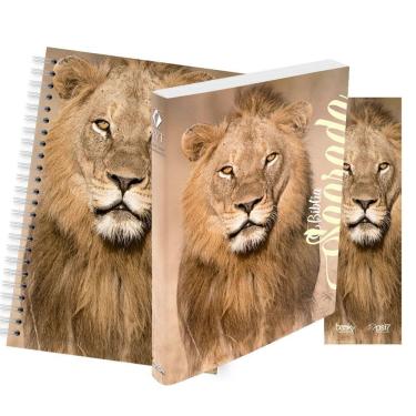 Imagem de Kit Leão no Campo de Trigo - Planner + Bíblia Brochura NVT + Marca Página