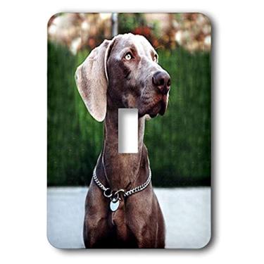 Imagem de 3dRose lsp_1095_1 Weimaraner interruptor único