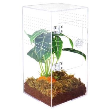 Imagem de NANEEZOO Gabinete de aranha saltadora com porta de abertura frontal, caixa de reprodução de répteis de 15 x 15 x 30 cm, terrário de micro habitat para pequenas árvores, répteis, aranhas, louva-a-deus