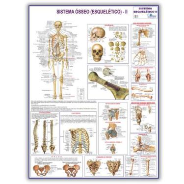 Imagem de Mapa Sistema Esquelético II Dobrado- Gigante 120 X 90cm - Enfermagem -
